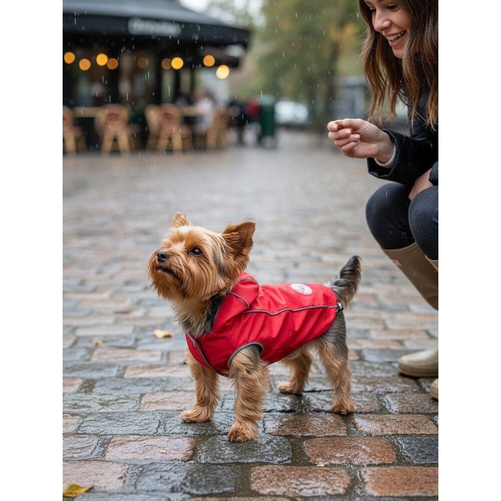 GF Pet Reversible Raincoat – Waterproof Reflective Dog Coat with Elasto-Fit 2XS